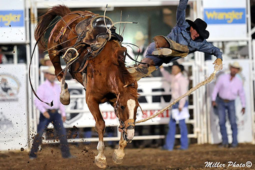 World's Oldest Rodeo® - Since 1888, this traditional event has occurred annually over the 4th of July weekend with eight breath-taking performances.