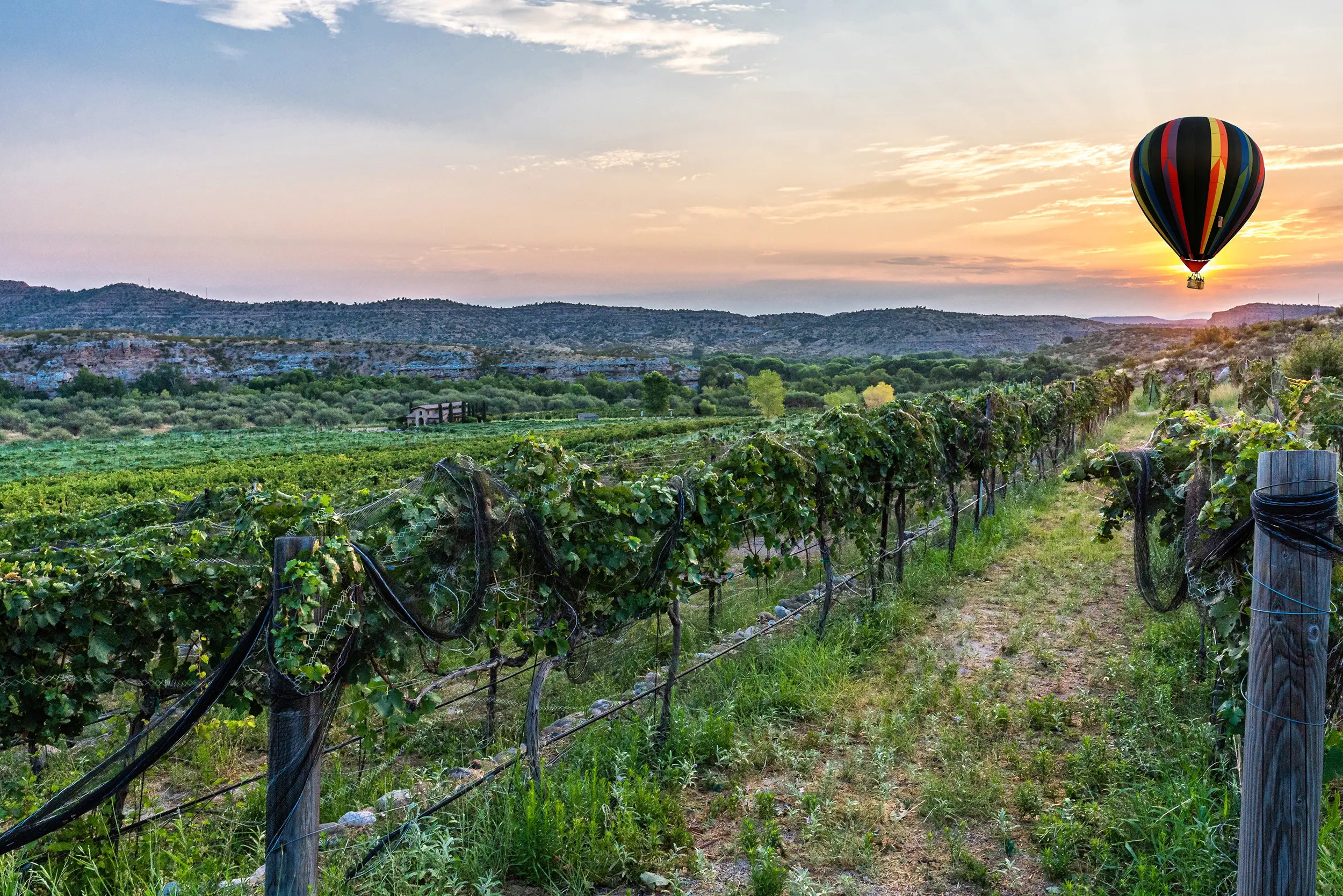 Wineries in the Verde Valley of Arizona with a hot air balloon soaring above
