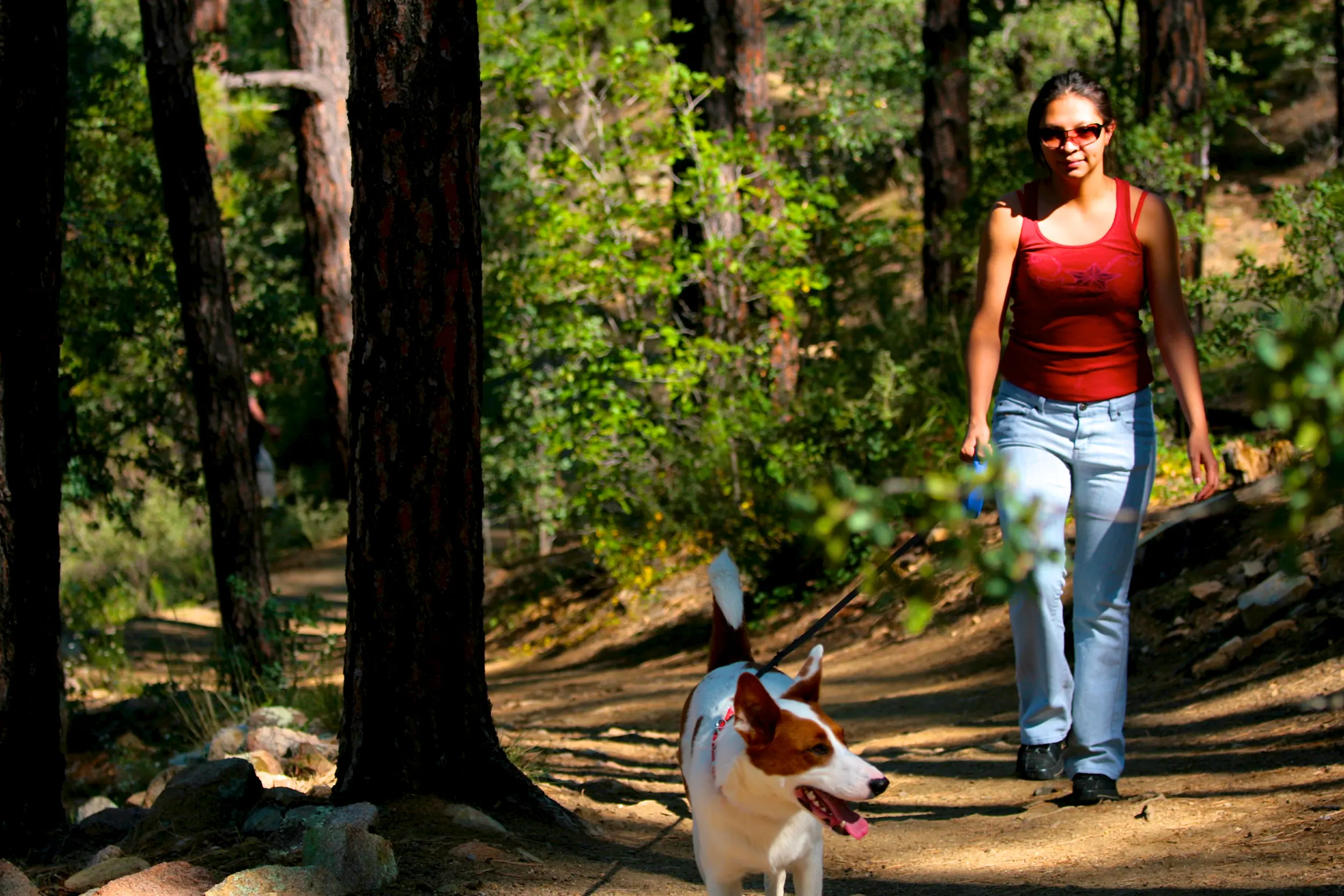dg-prescott-002 A woman walking a dog in Prescott Arizona