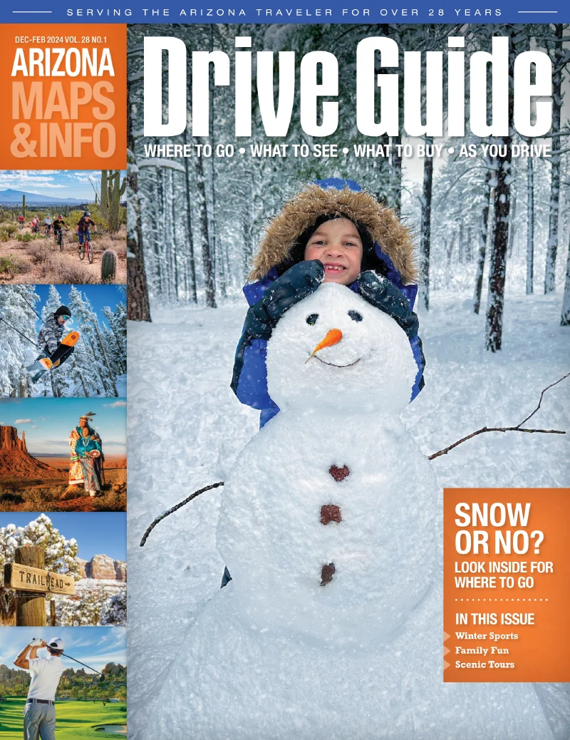 Arizona Dec 2023 - Feb 2024