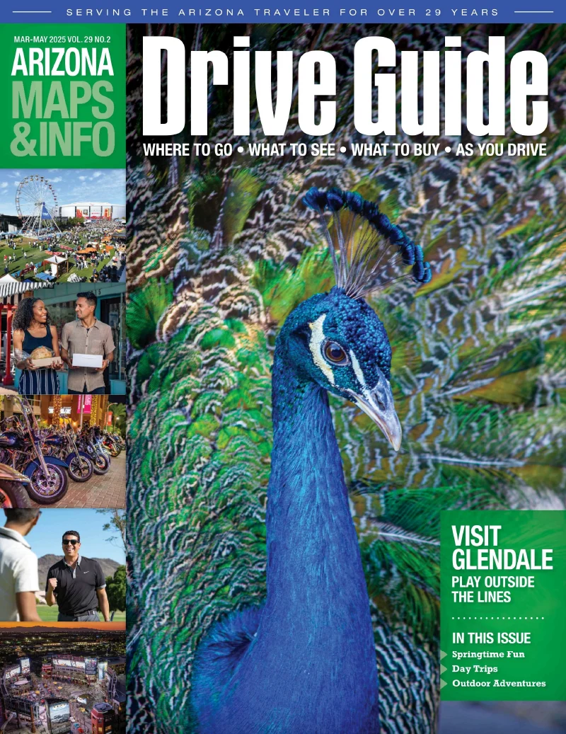 Arizona Mar 2025 - May 2025