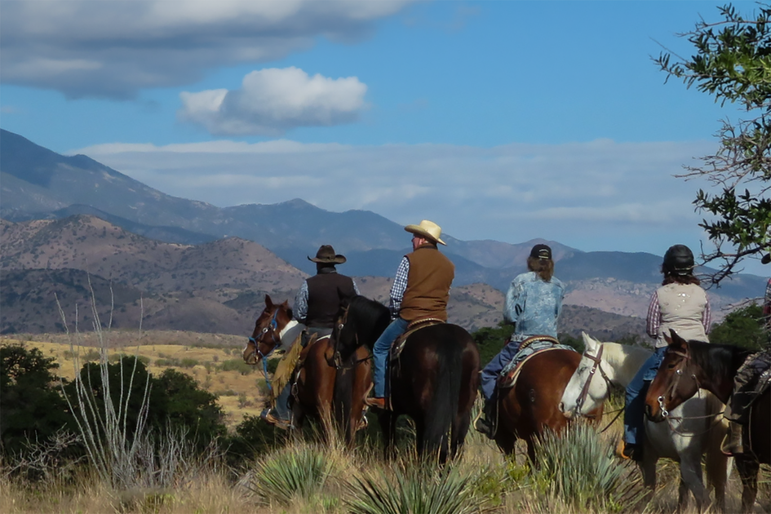 Arizona Dude Ranch Association
