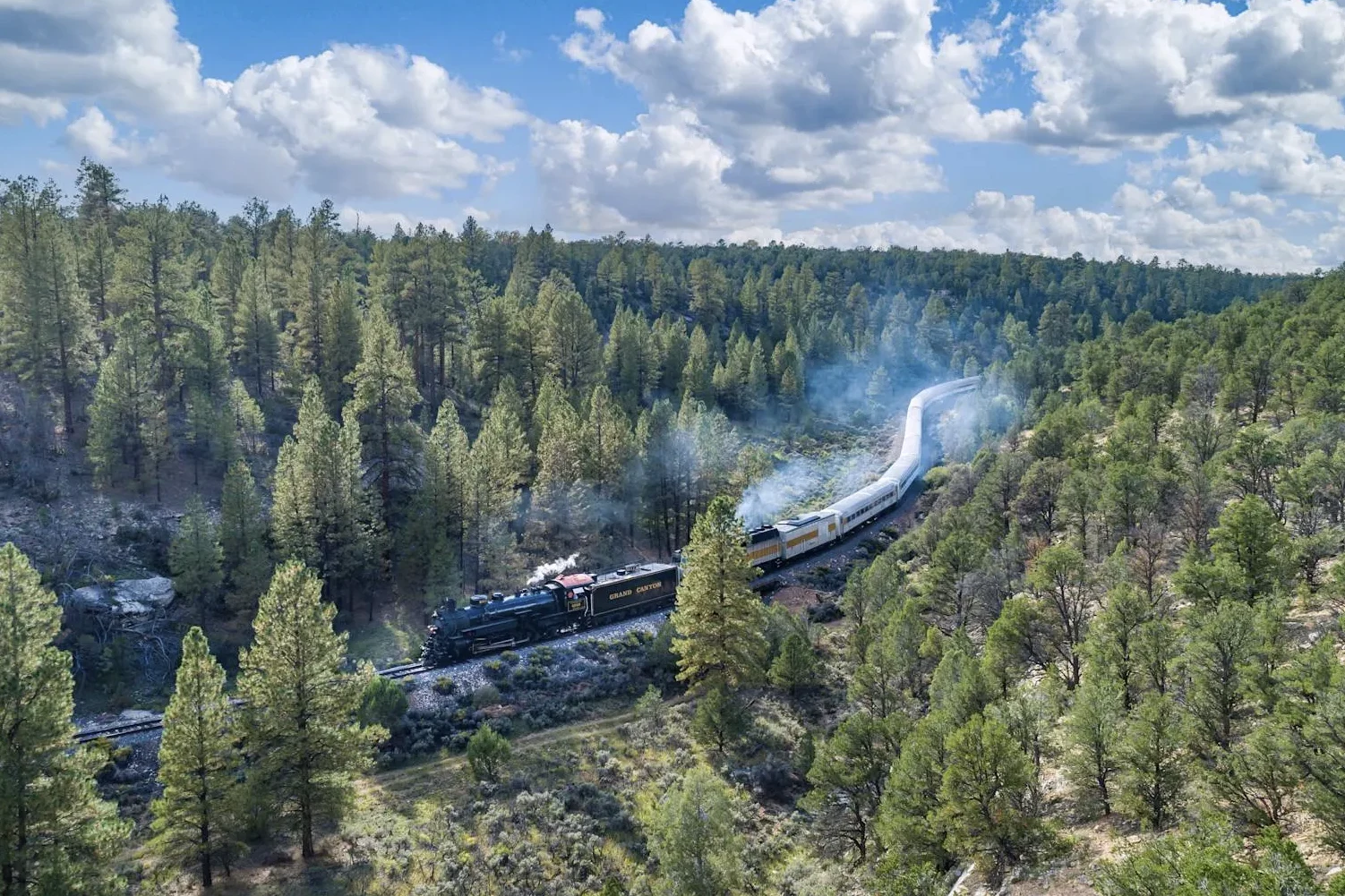 Grand Canyon Railway traveling through the forest